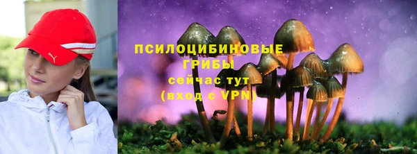 ALPHA-PVP Алексеевка