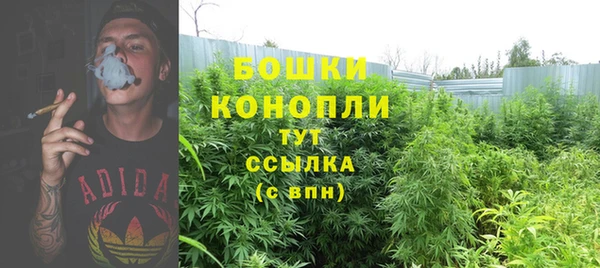 ALPHA-PVP Алексеевка