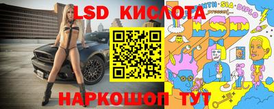 стафф Бийск