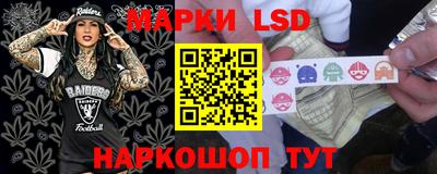 крисы Берёзовский