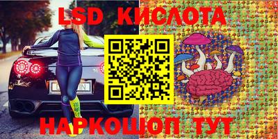 стафф Бийск