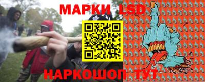 стафф Бийск