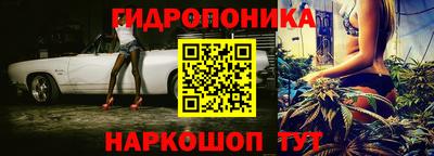 крисы Берёзовский