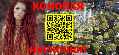 стафф Бийск
