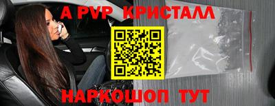 крисы Берёзовский