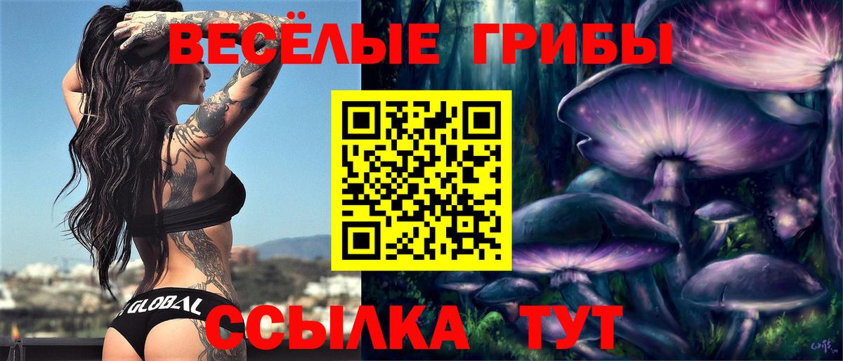 Псилоцибиновые грибы Cubensis Карпинск